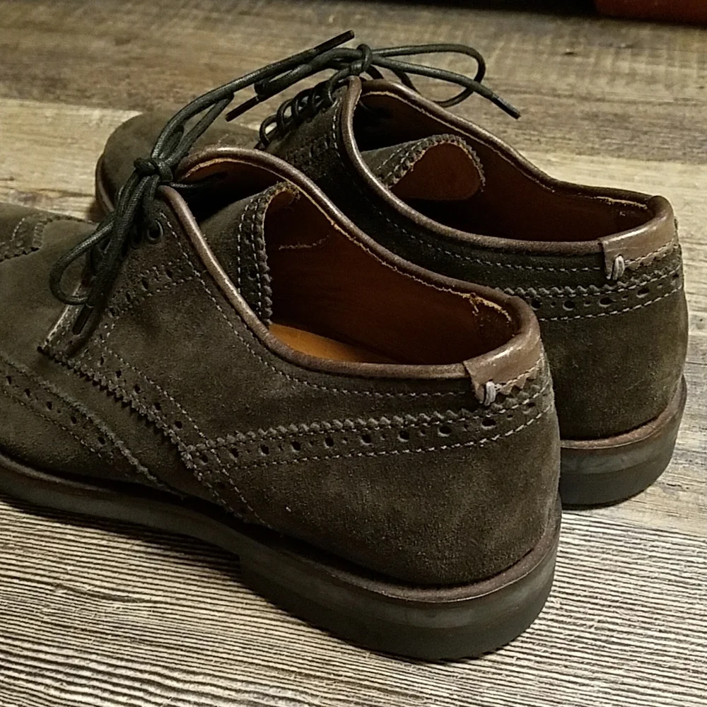 Aquatalia Olive Green Suede Wingtip Oxfords